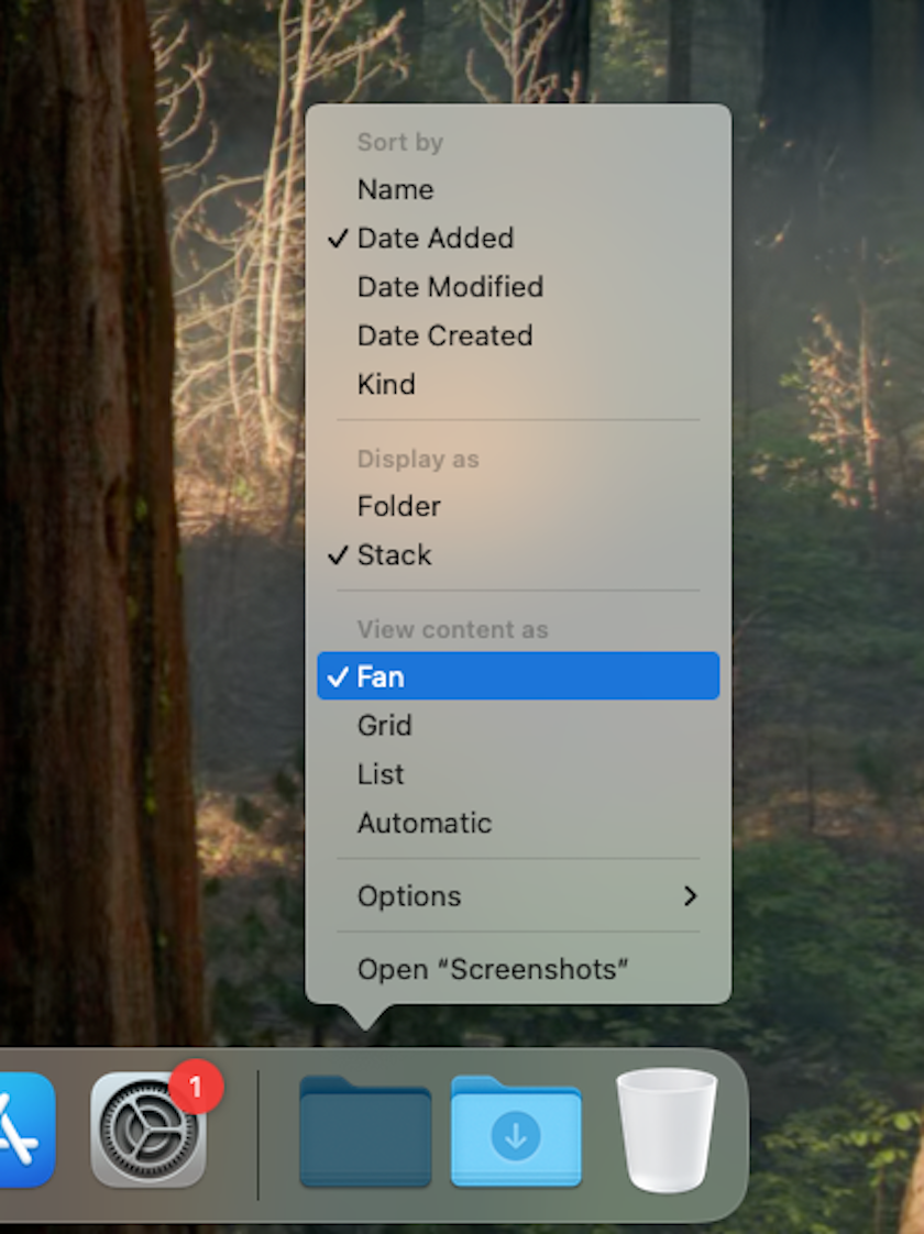 Fine-tuning the Screenshots folder in the Dock